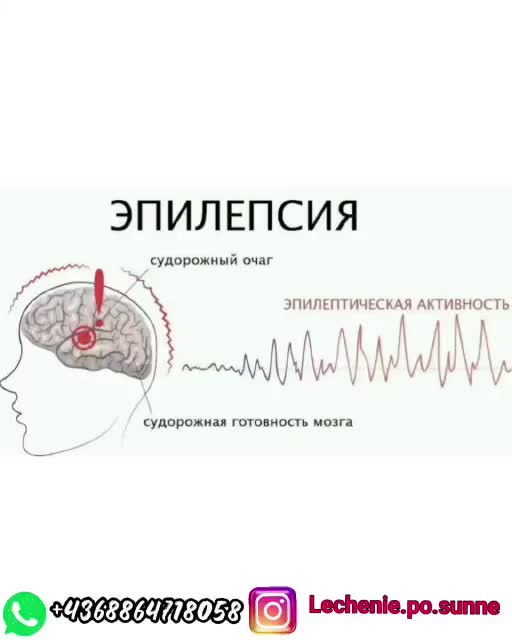 @Доктор Сайфуллах