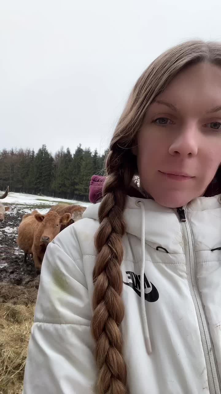 @HafiHorse2
