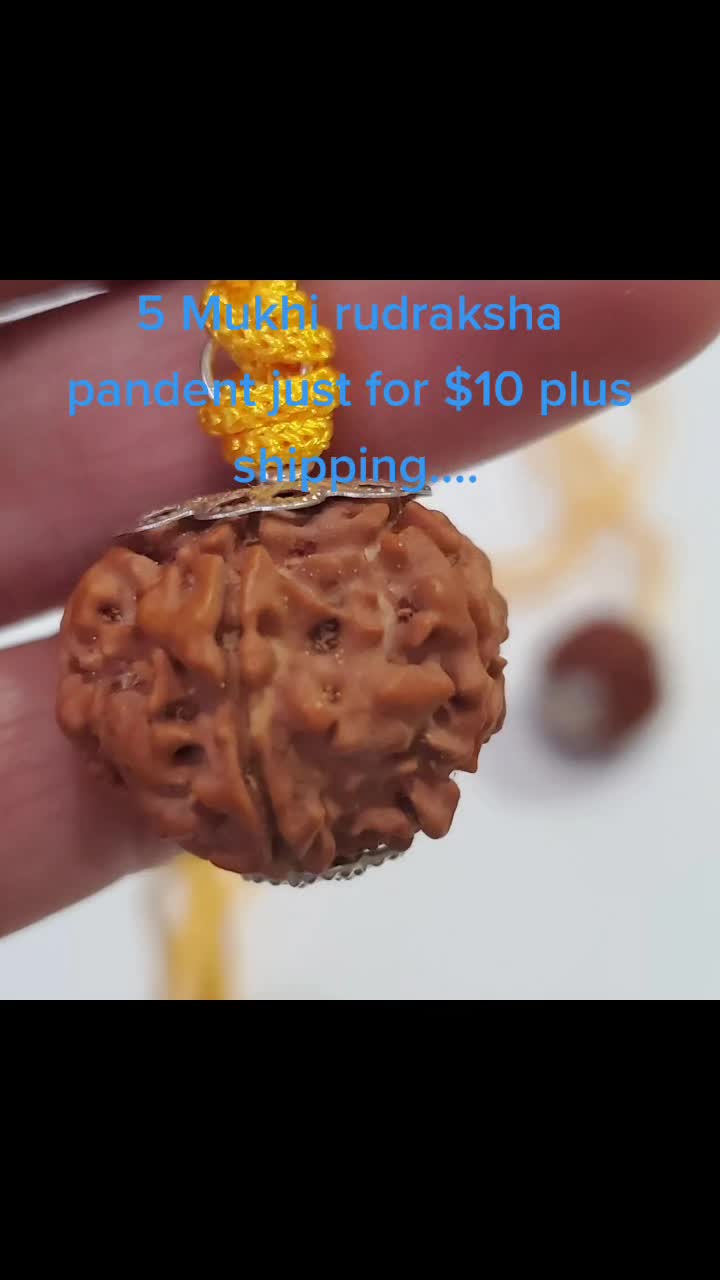 @nepal rudraksha