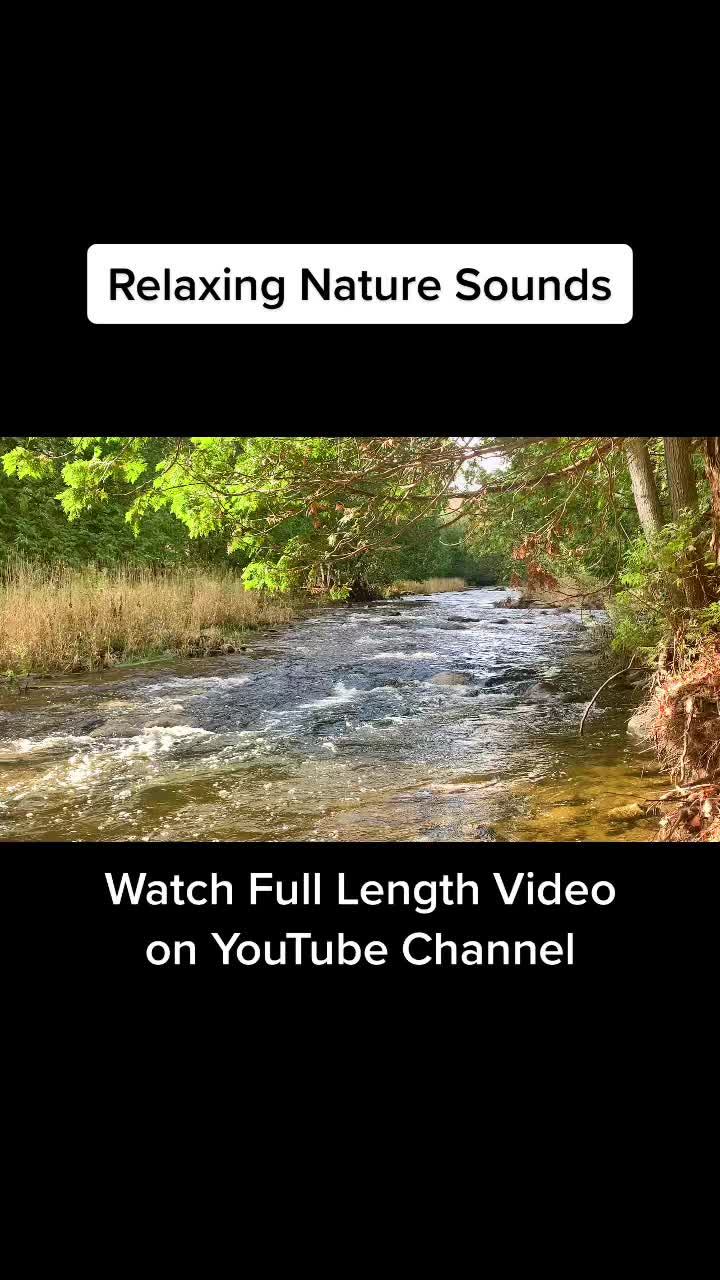 @Nature’s Sounds
