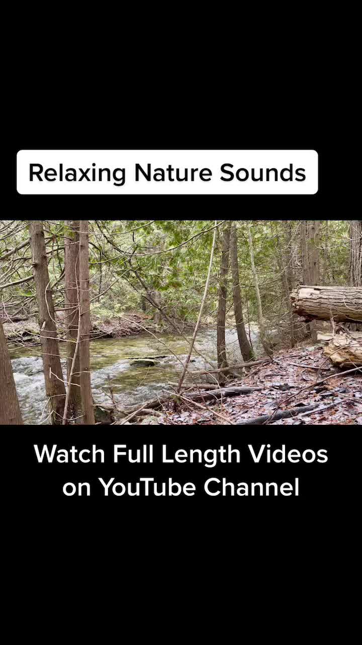 @Nature’s Sounds