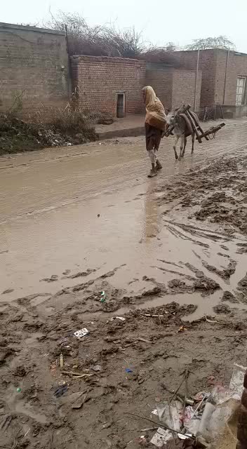 @ilyassajid6