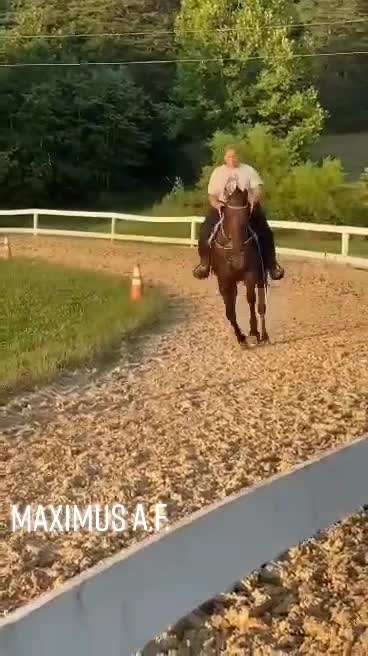 @Libby🐾❤️🐴