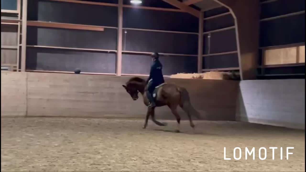 @hannanilsson28