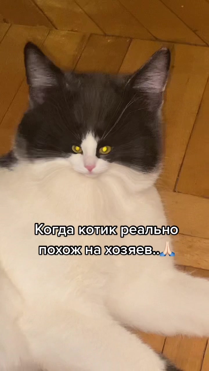 @Ushko