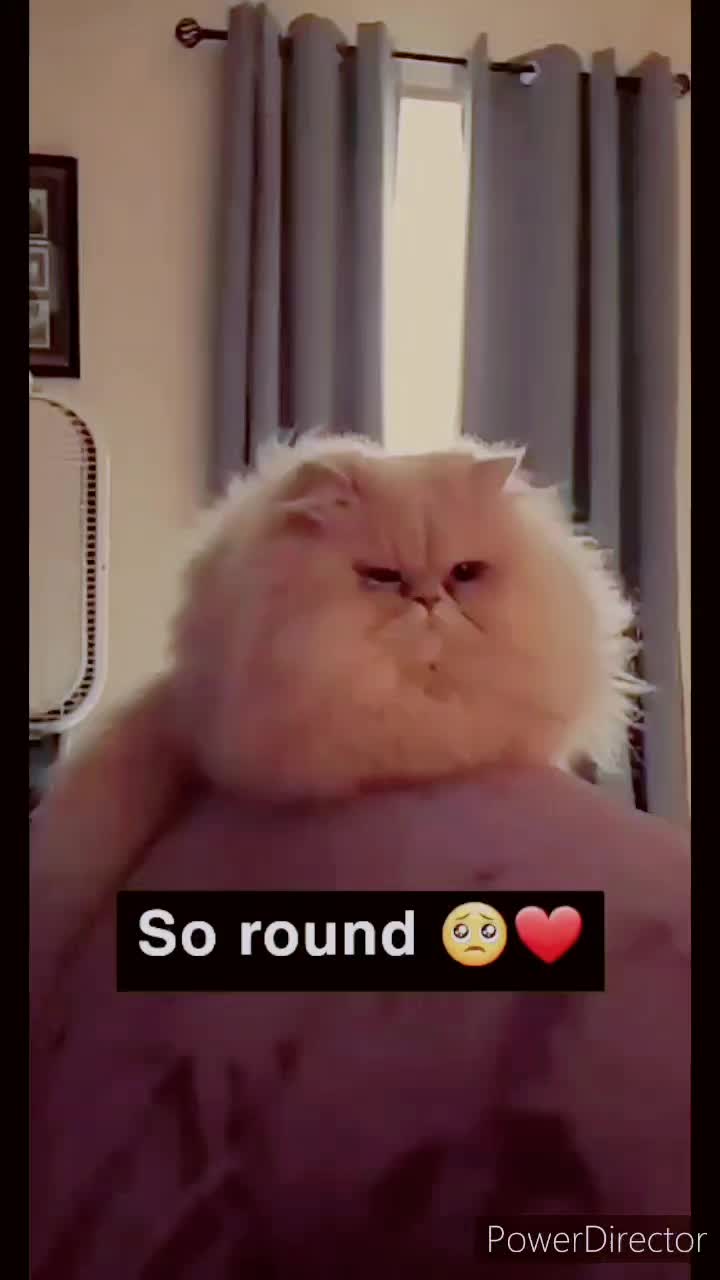 @MissKylaKandy