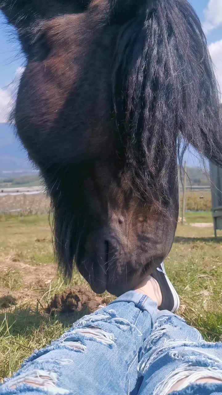 @Untraitdecheval