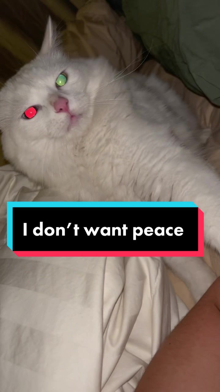 @Potato