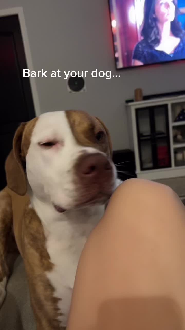 @KT