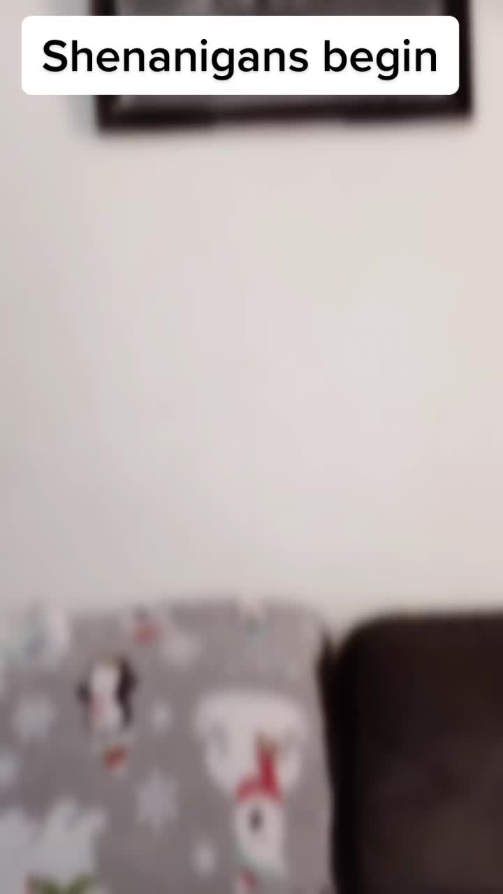 @montricelewis