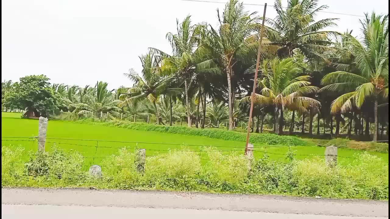 @Kannamma💙