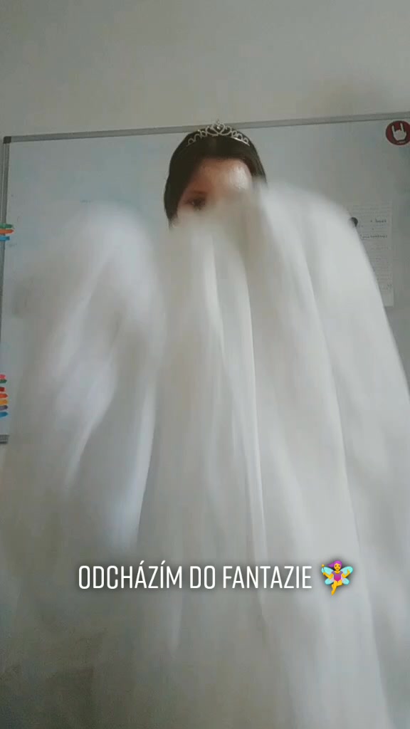 @Alter Veritas