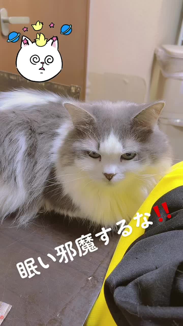 @ヒロ🦄