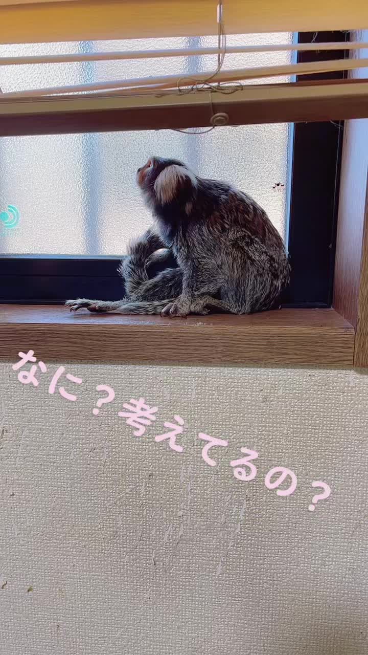 @ヒロ🦄