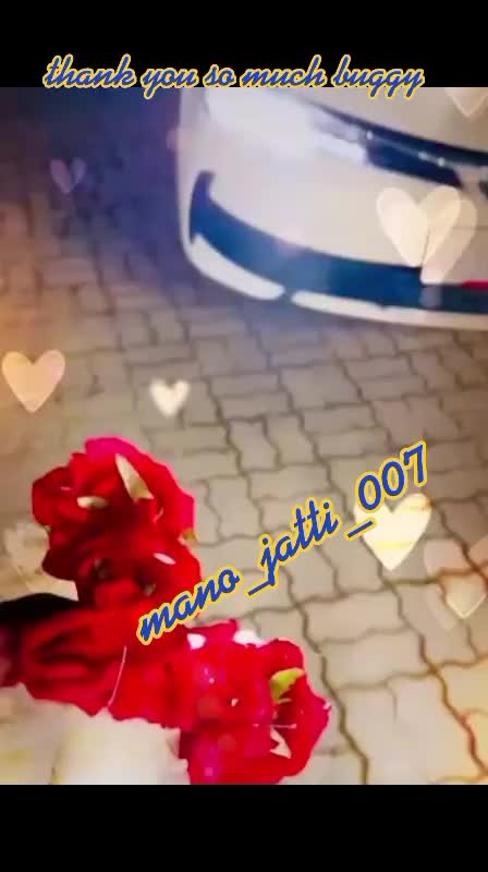 @🤴Raja ki rani 👸