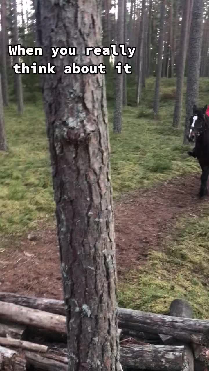 @Linn&eacute;a Palm✨🤍