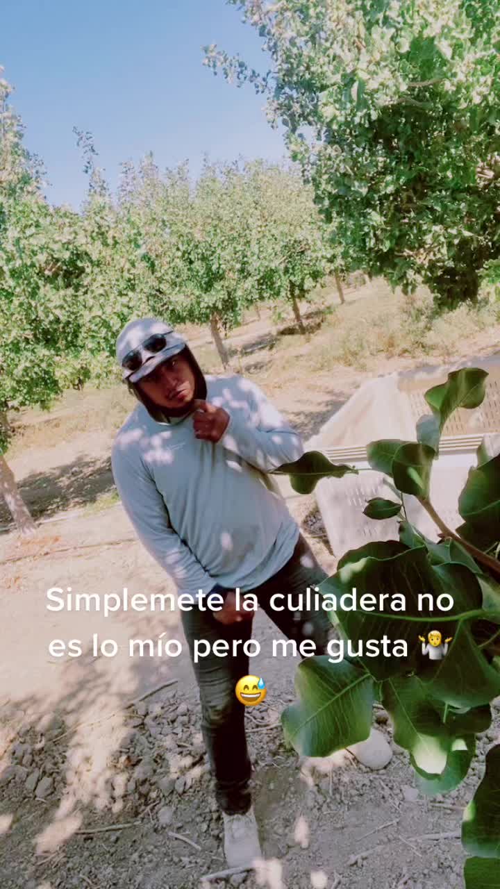 @Miguel Velis