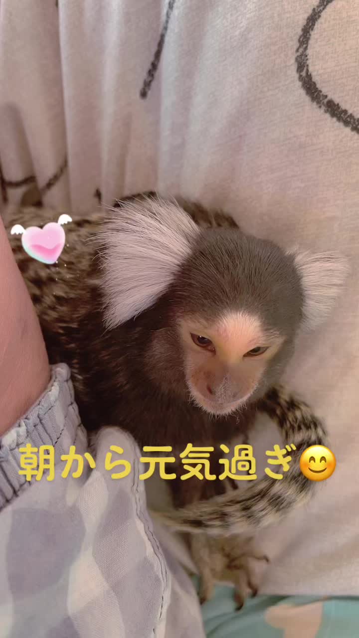 @ヒロ🦄