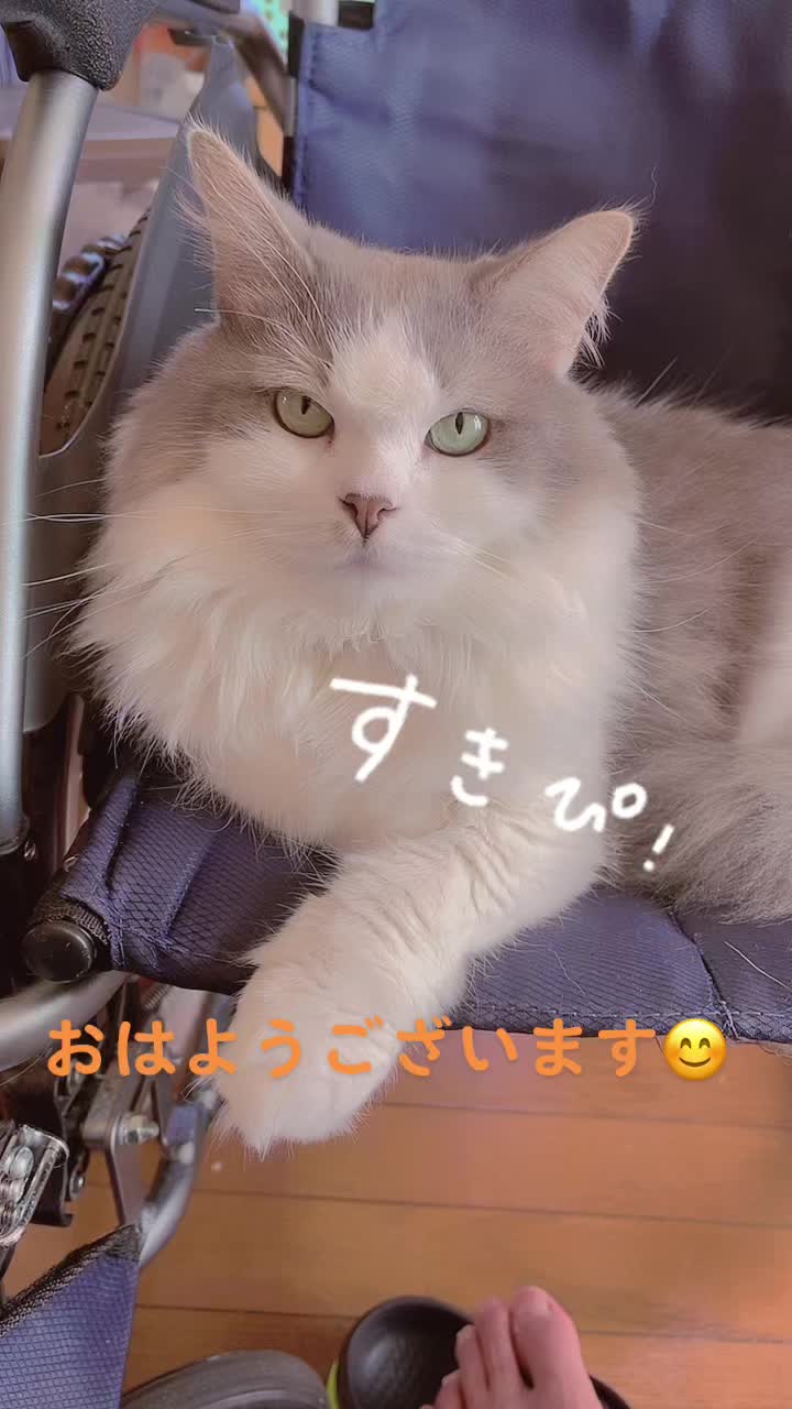 @ヒロ🦄