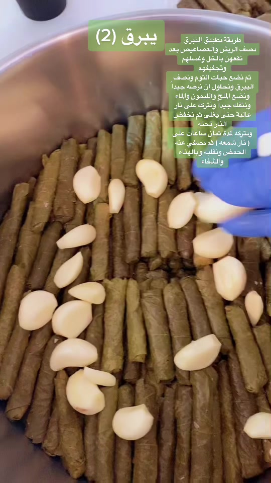 @ranaalnajjar40