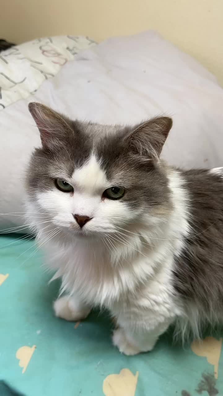@ヒロ🦄