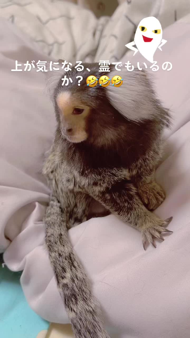 @ヒロ🦄