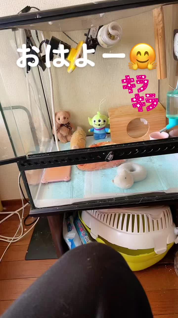 @ヒロ🦄