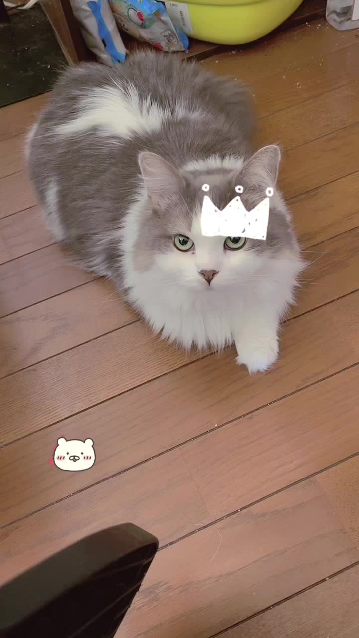 @ヒロ🦄