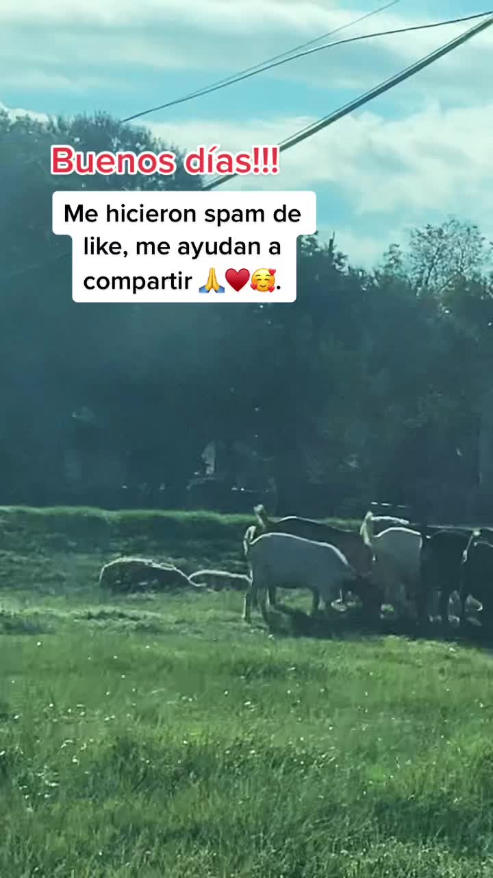 @Esperanza Lopez