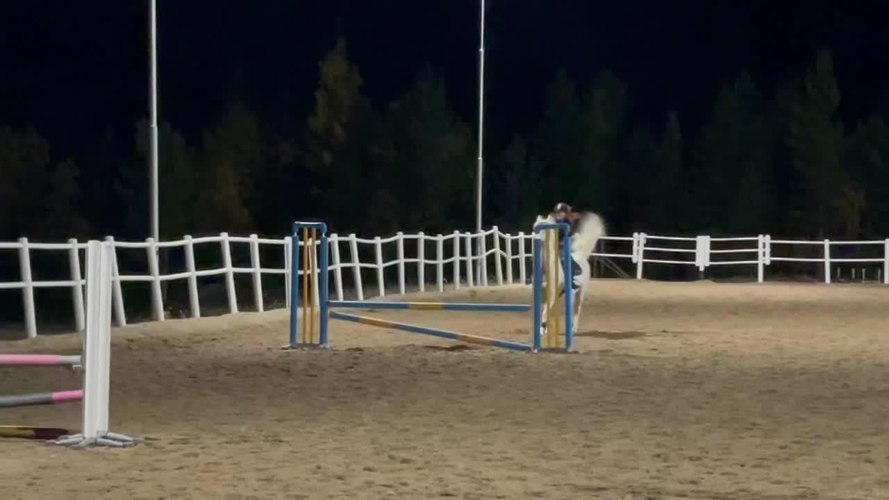 @𝐻𝒪𝑅𝒮𝐸𝐿𝐼𝐹𝐸💘