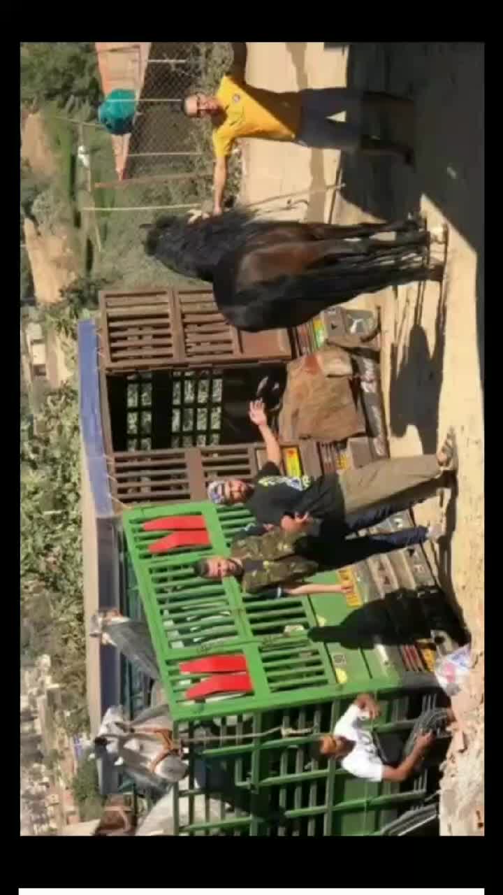 @0792429900