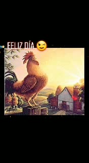 @Willer Andres Villar