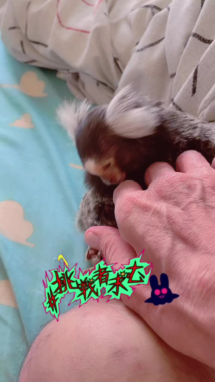 @ヒロ🦄
