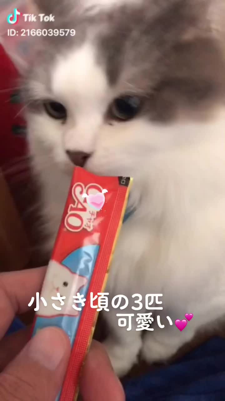 @ヒロ🦄