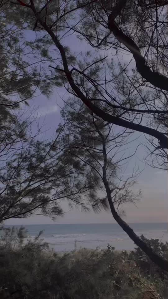 @Puput Puspitasari