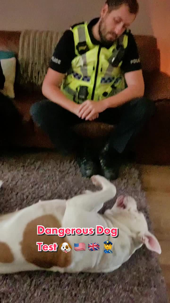 @Elsalioncub 🐶🇺🇸🇬🇧