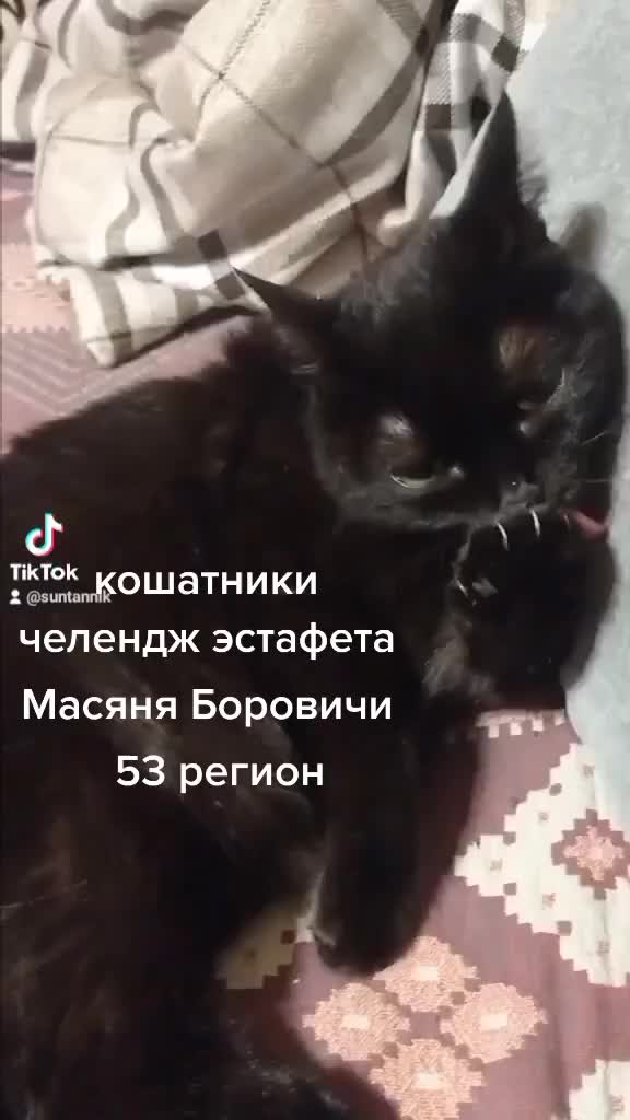 @Tatyana