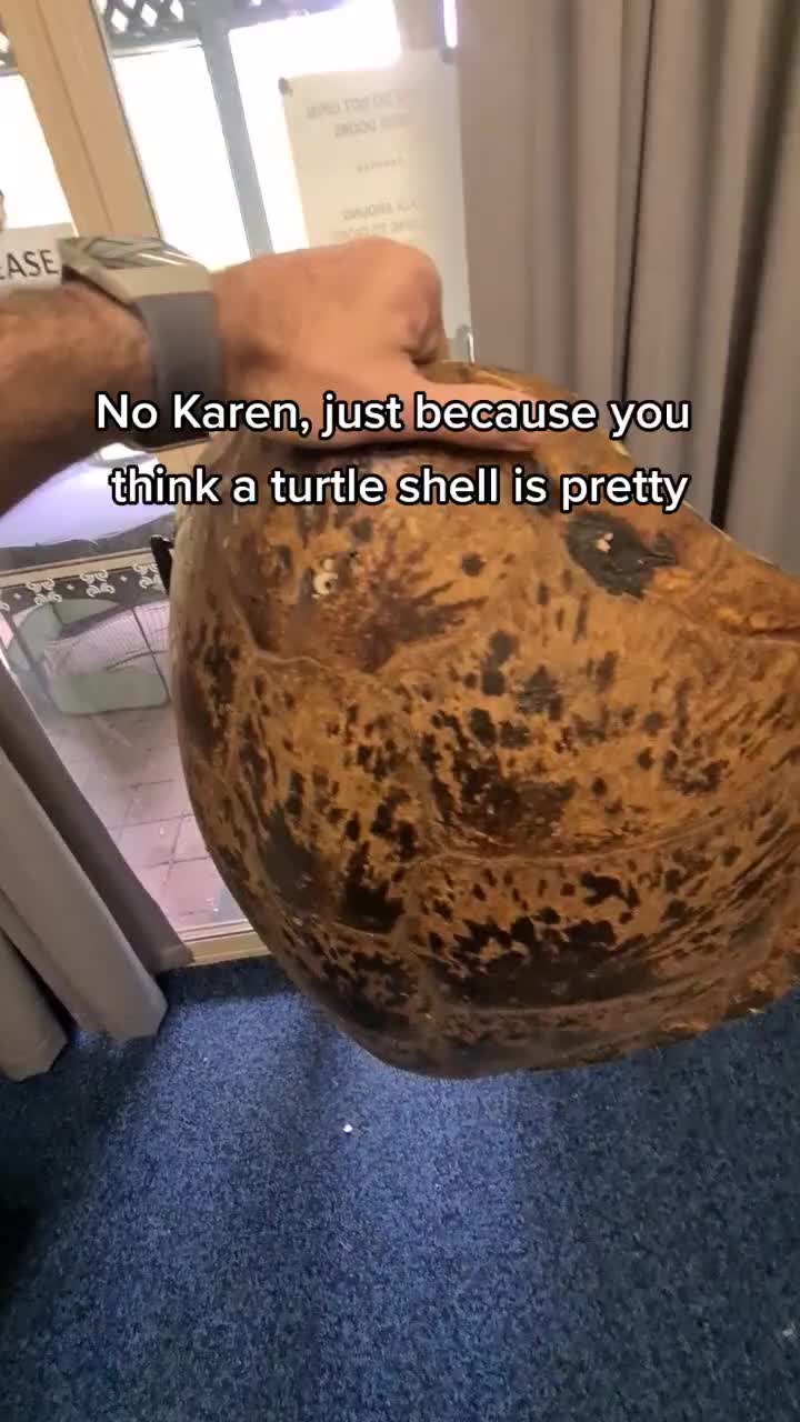 @Phil