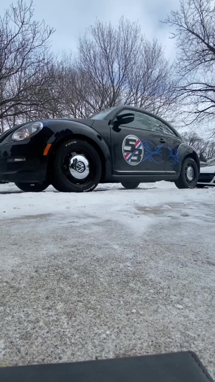 @Shelbie the Love Bug