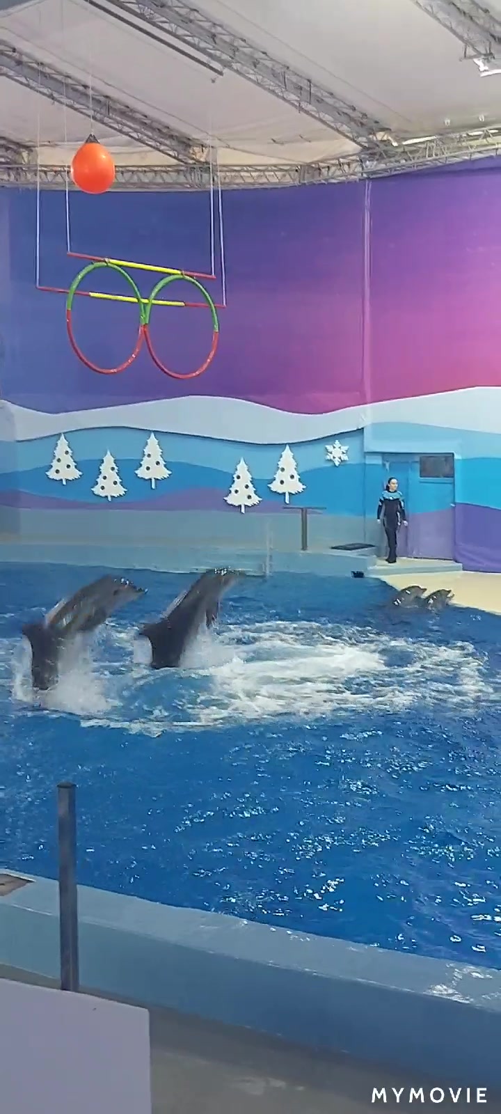 @VIKI_ART_SOCHI