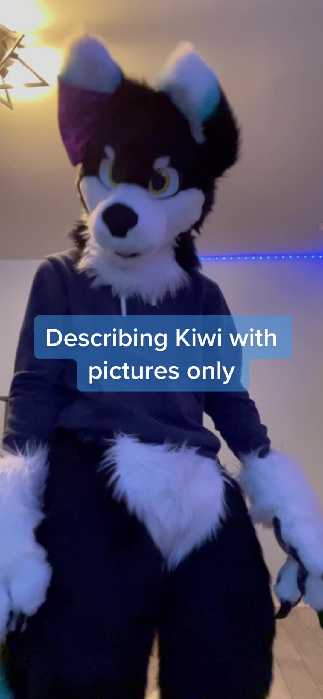 @⭐️KiwiFurSure⭐️