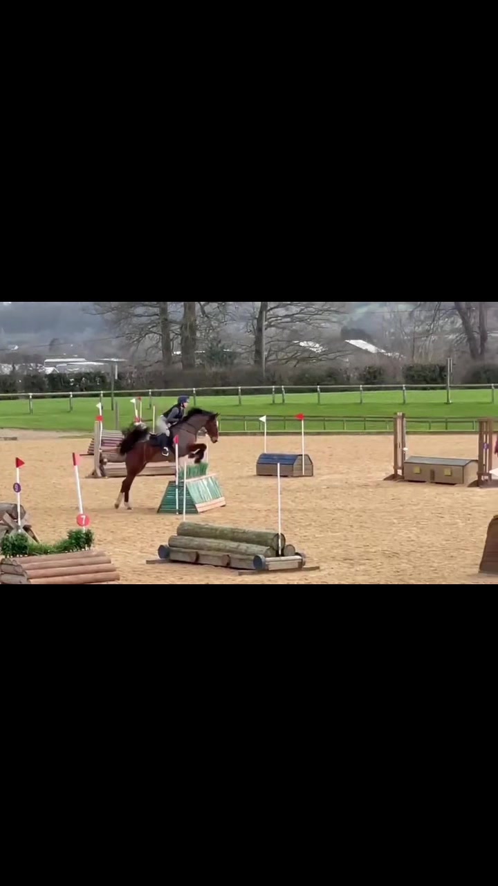 @ypequestrian