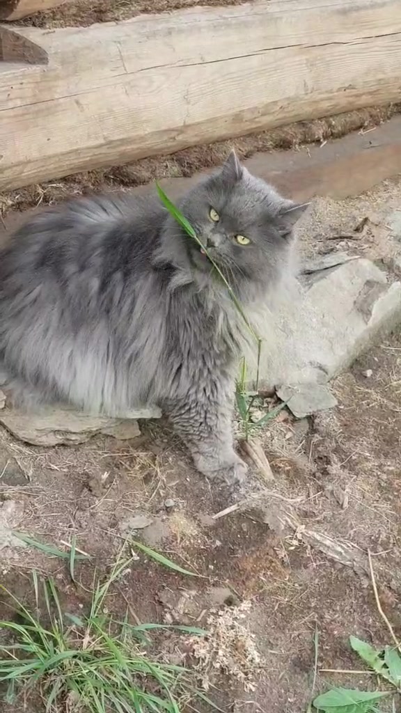 @Ольга