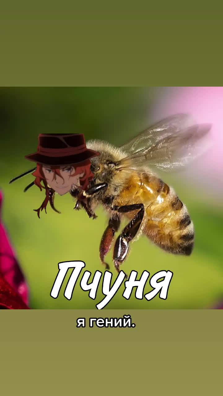 @люблю бсд