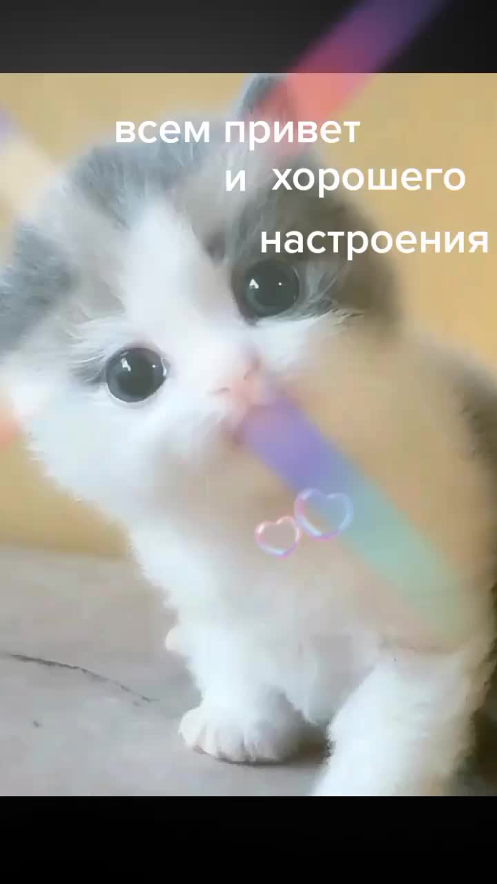 @одинокий волк