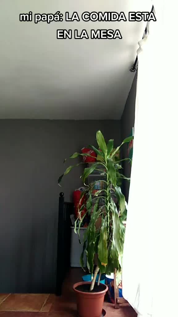 @Ceesar06