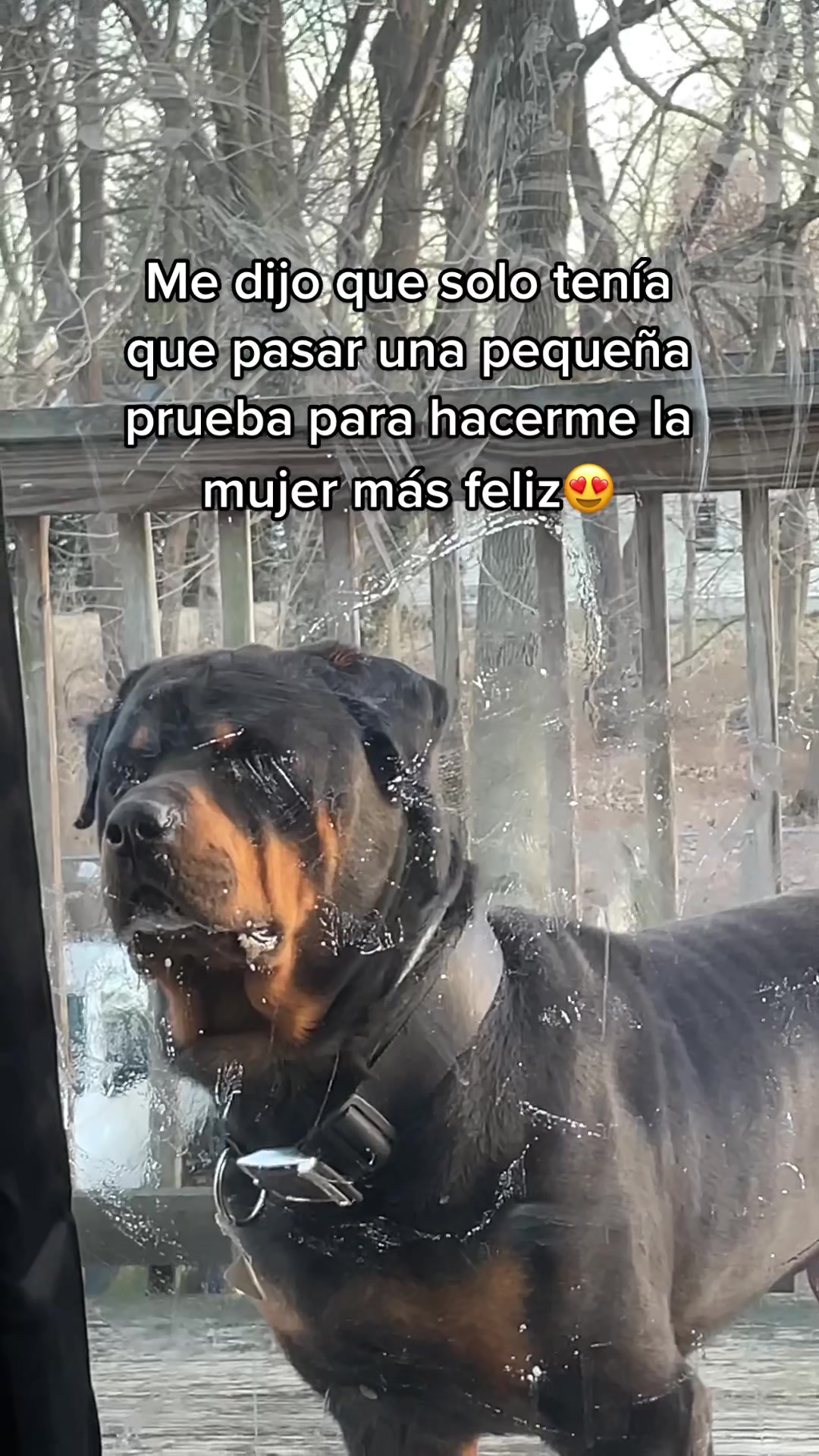 @Patricia Balderas