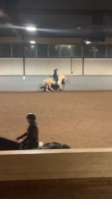 @🐎Ridning🐎 {3,8K}