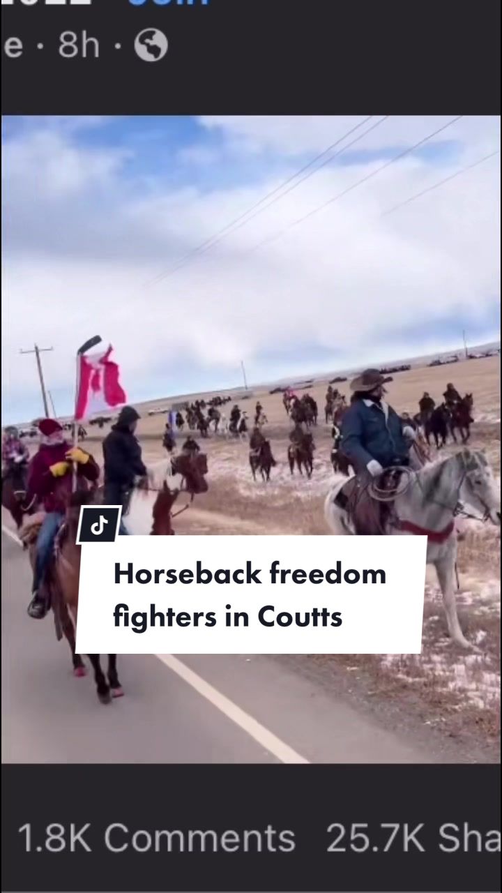 @Freedom Persistence