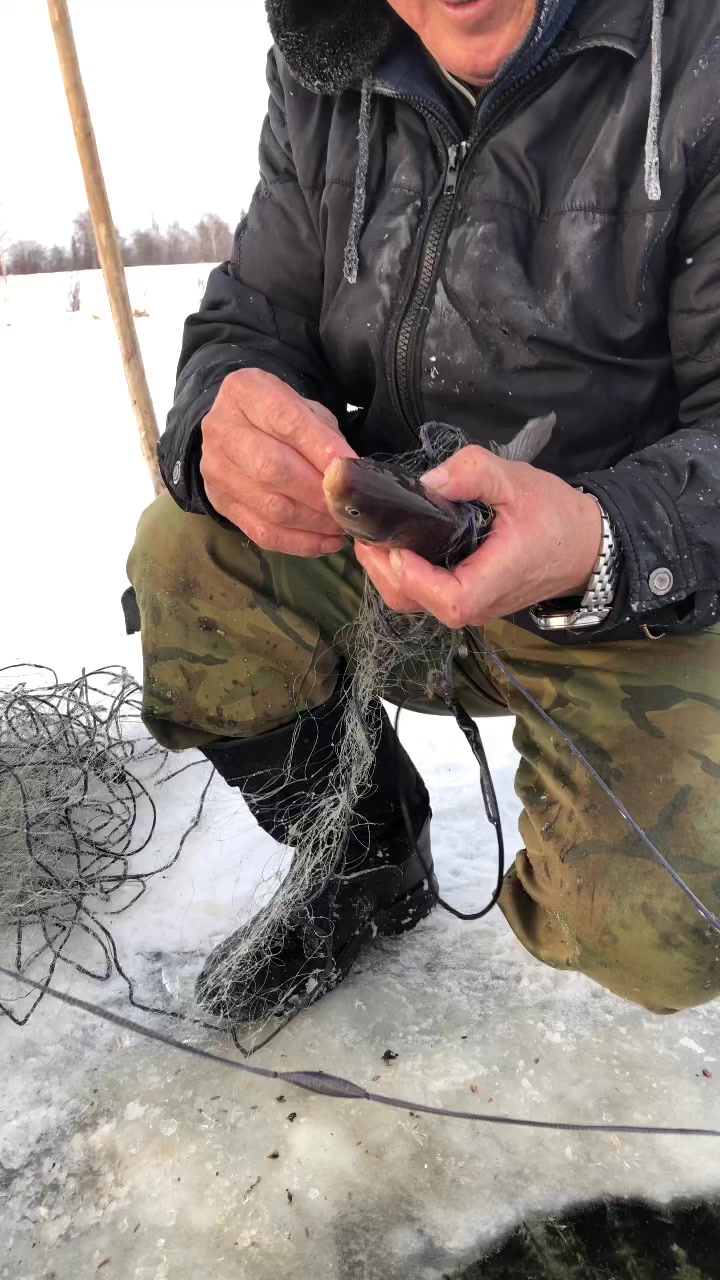 @Турист